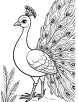 Peacock with open feather coloring page