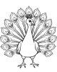 Peacock Coloring Page