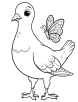 Pigeon and a butterfly coloring page