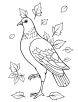 Pigeon and autumn leaves coloring page