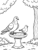 Pigeon and birdbath coloring page