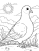 Pigeon at sunrise coloring page