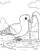 Pigeon Coloring Page