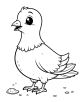 Pigeon Coloring Page