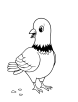 Pigeon eating crumbs coloring page 1