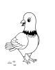 Pigeon Coloring Page