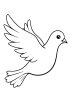 Pigeon flying coloring page