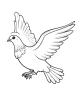 Pigeon flying coloring page 1