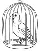 Pigeon Coloring Page