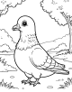 Pigeon Coloring Page