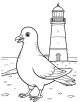 Pigeon Coloring Page