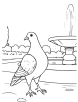 Pigeon near a fountain coloring page 1