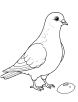 Pigeon near food crumbs coloring page