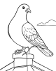 Pigeon Coloring Page