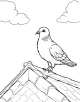 Pigeon Coloring Page