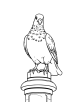 Pigeon on a statue coloring page