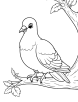 Pigeon on a tree branch coloring page