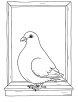 Pigeon on a windowsill coloring page