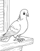 Pigeon Coloring Page