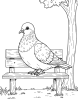 Pigeon resting on a bench coloring page