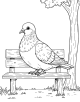 Pigeon Coloring Page