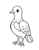 Pigeon Coloring Page