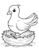 Pigeon Coloring Page