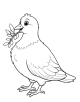 Pigeon Coloring Page