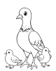 Pigeon Coloring Page