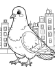 Pigeon Coloring Page