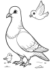 Pigeon with other birds coloring page