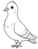 Pigeon Coloring Page