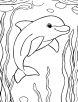 Playful dolphin coloring page