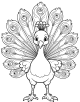 Peacock Coloring Page