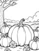 Pumpkin harvest scene coloring page