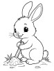 Rabbit activity coloring page