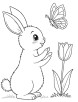 Rabbit talking to butterfly coloring page