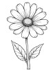 Flower Coloring Page