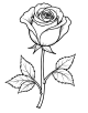 Rose Flower Coloring Page