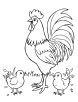 Rooster and chicks coloring page