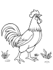 Rooster crowing coloring page