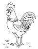 Rooster looking for hen coloring page