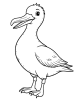 Seabird albatross coloring page