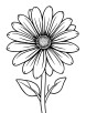 Simple aster flower coloring page