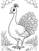 Simple peacock coloring page