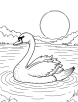 Swan during sunset coloring page