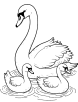 Swan family coloring page