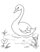 Swan in a childrens story coloring page