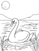 Swan in a moonlit lake coloring page 1