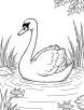 Swan in a pond with fishes coloring page